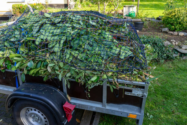 Shed Removal in Sleepy Hollow, IL